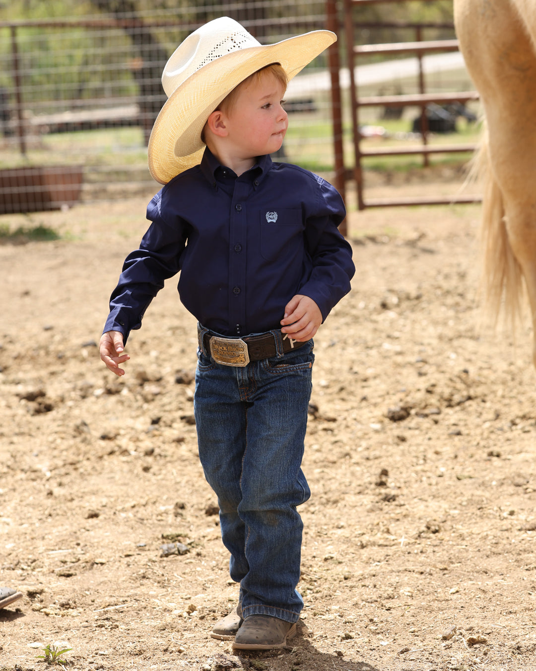Boy's Button-Down Western Shirt