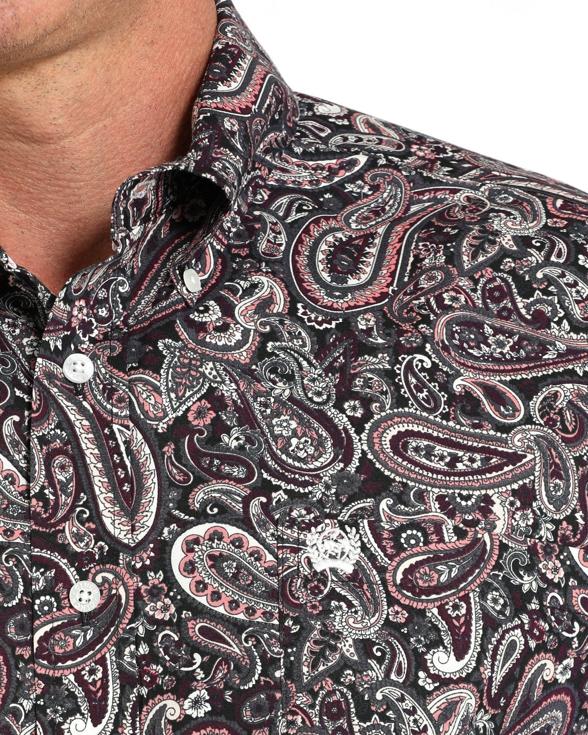 Men's Paisley Print Button-Down Western Shirt - Multi